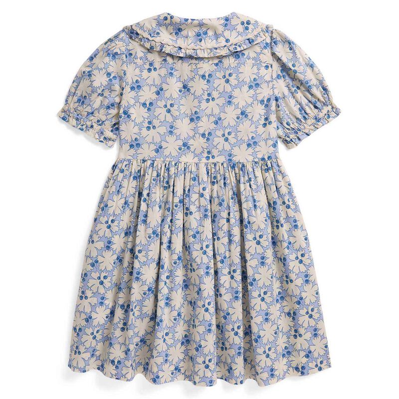 Polo Ralph Lauren Blueberry-Print Cotton Shirtdress 3-6Y image number 2